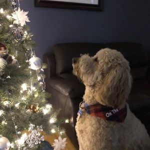 Meet your Posher, Ethel